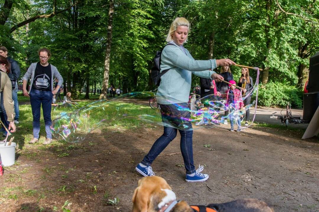 Padžiauk sofą