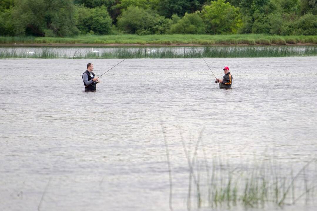 Baidarių žygis