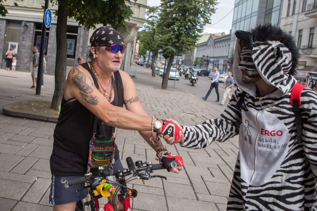Dviratininkų reidas Kaune