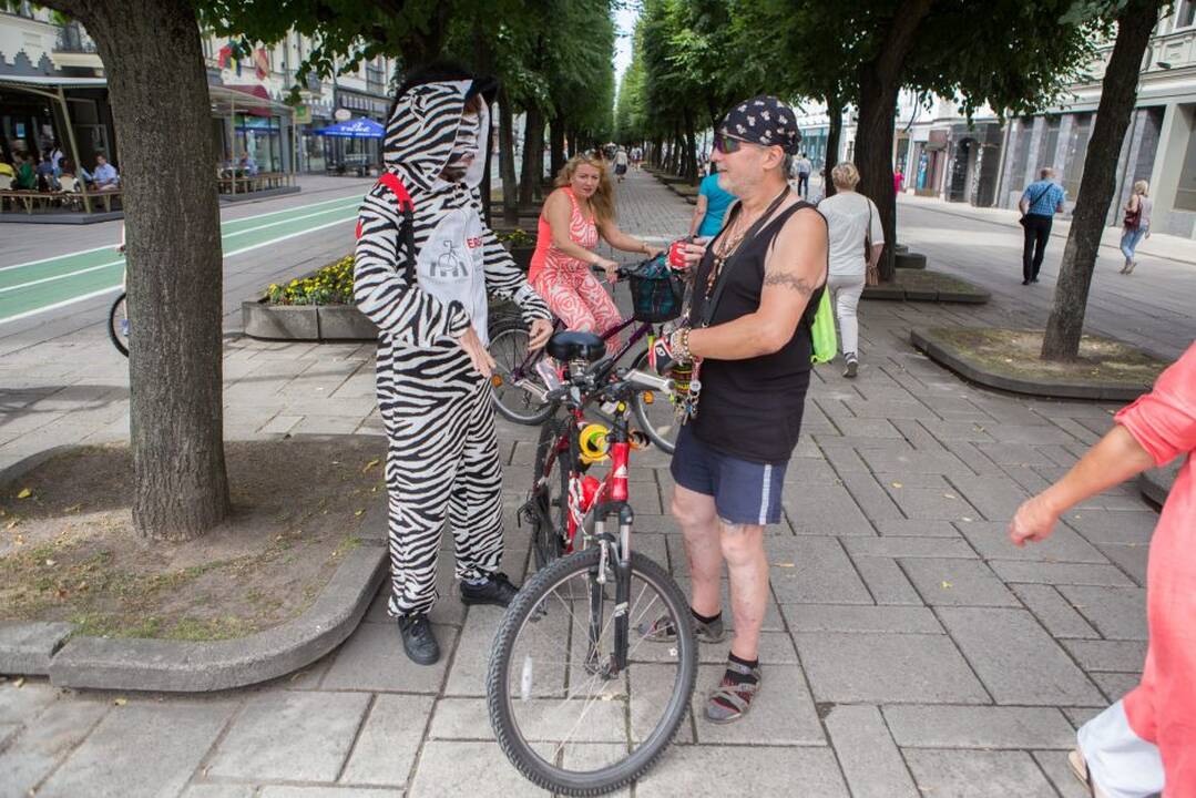 Dviratininkų reidas Kaune
