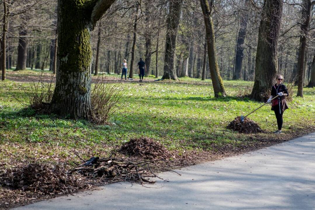 Akcija "Kaunas tvarkosi 2018"