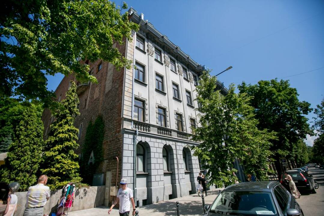 V. Putvinskio gatvės diena