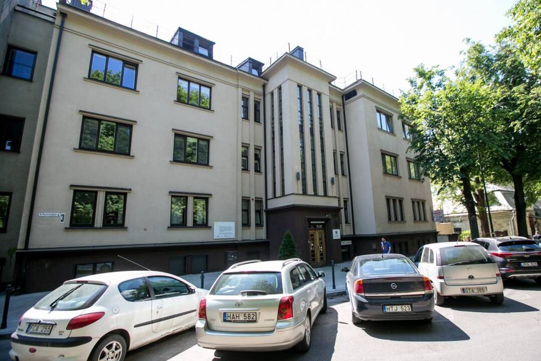V. Putvinskio gatvės diena