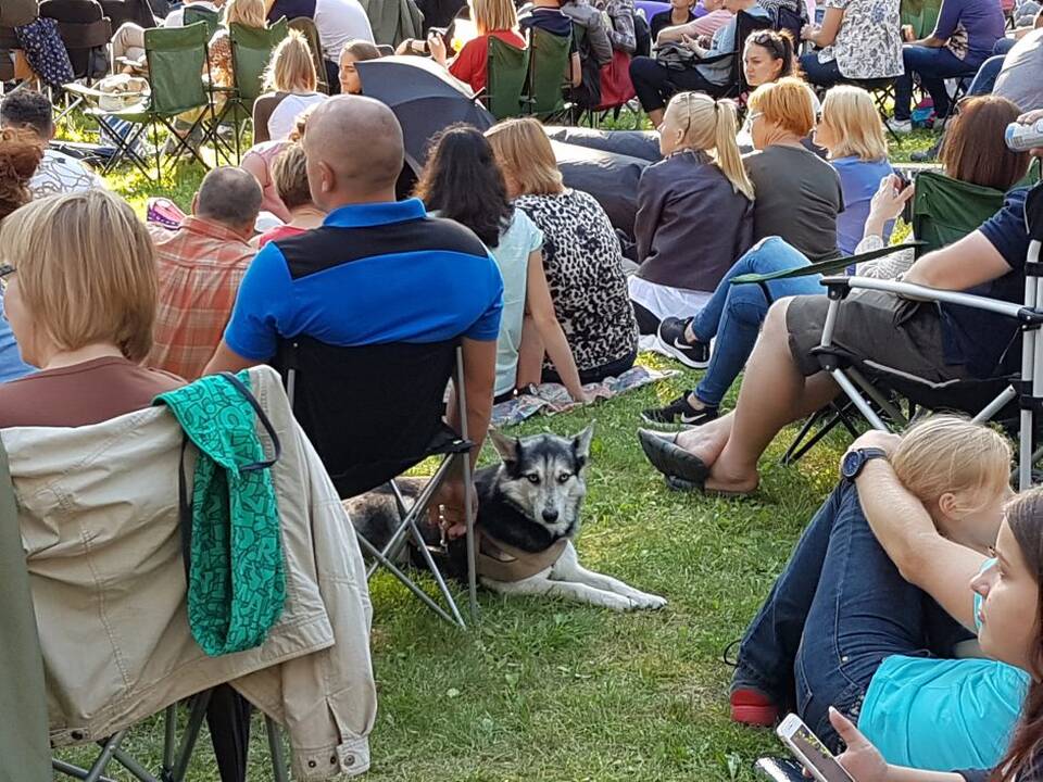 Bardų festivalis „Akacijų alėja“ 2018
