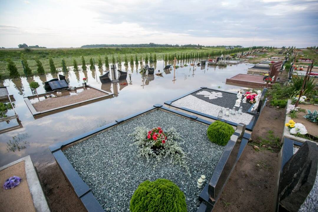 Apsemtos Vainatrakio kapinės