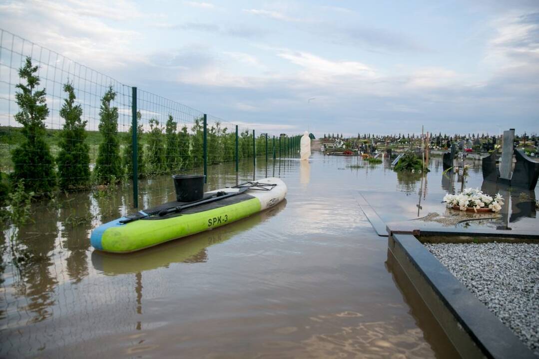 Apsemtos Vainatrakio kapinės