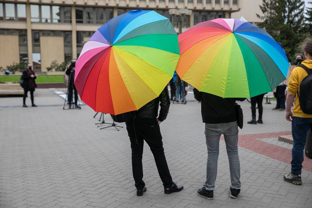 Žada: paruošime tokį partnerystės projektą, kuris būtų pats geriausias