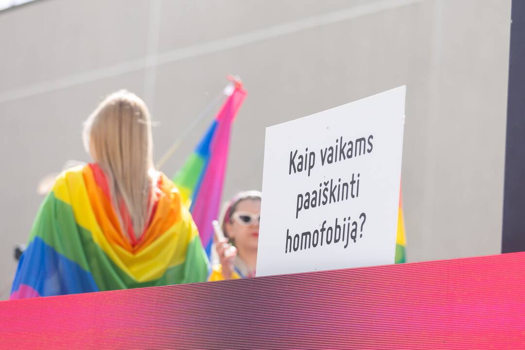 Apie siūlymą metus neleisti registruoti partnerystės: tai – teisinis neraštingumas