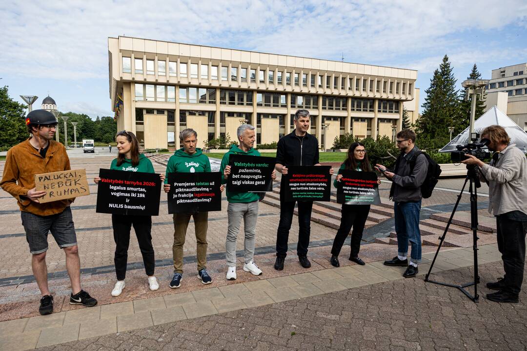  Žaliųjų partijos protestas prieš BK pataisas