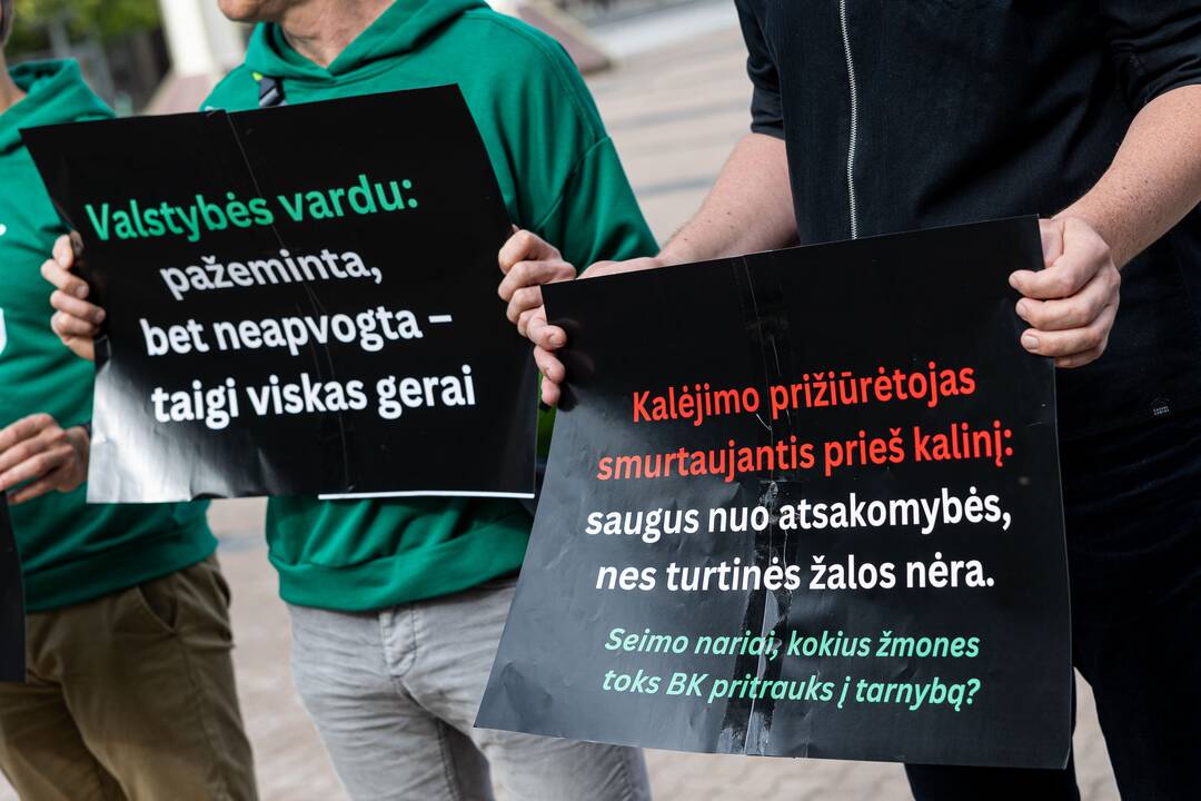  Žaliųjų partijos protestas prieš BK pataisas
