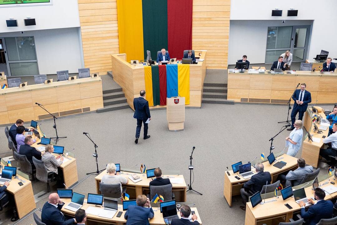 Paluckas atsako į Seimo narių klausimus