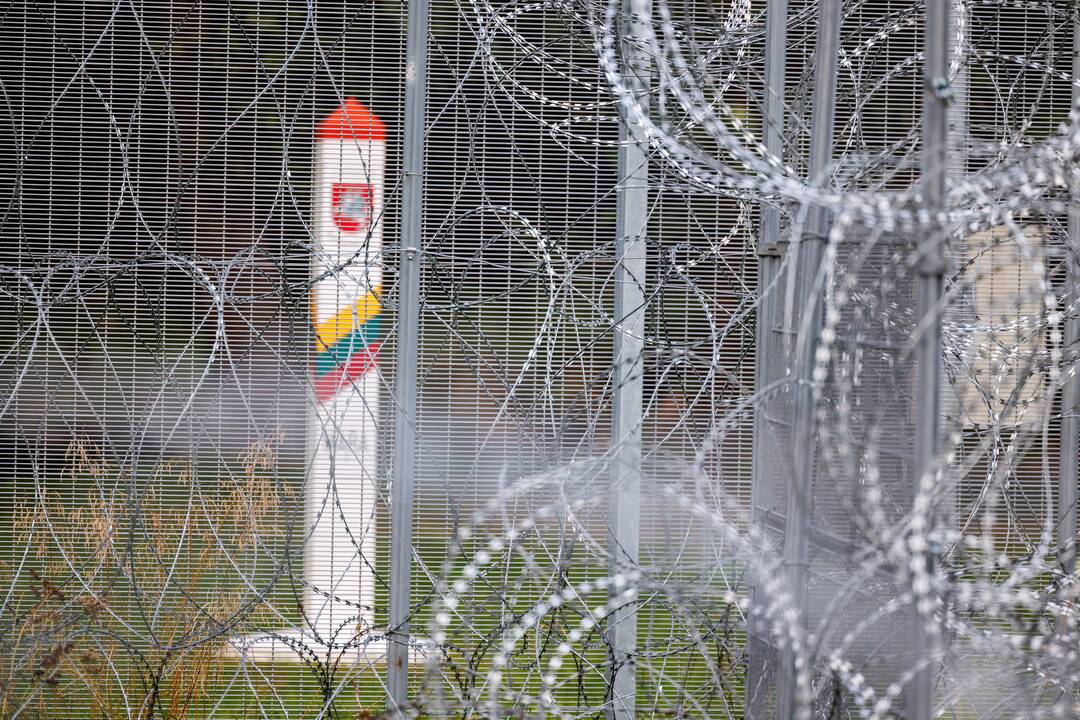 Seimo kontrolierius: daugiau nei pusė į Lietuvą pernai siekusių patekti migrantų neidentifikuota