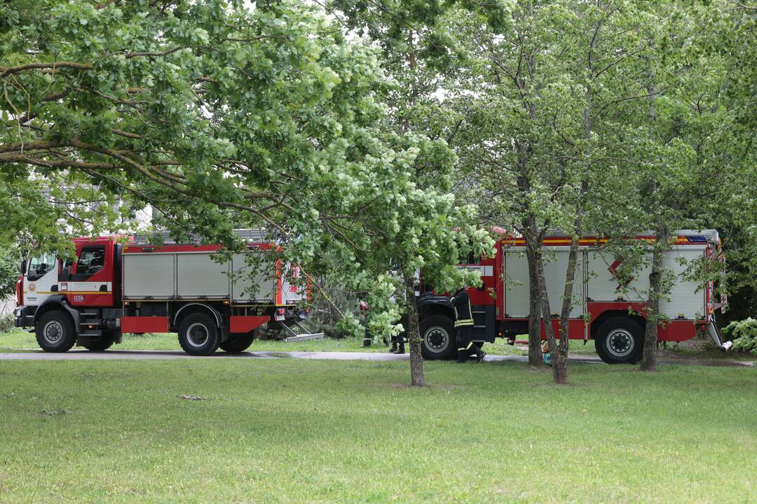 Kalniečių parke liepsnojo viešieji tualetai