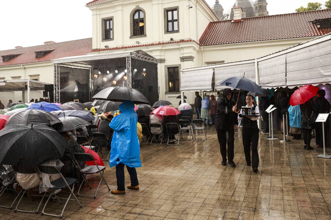 Pažaislio liepų alėjos vakarai: Ieva Narkutė