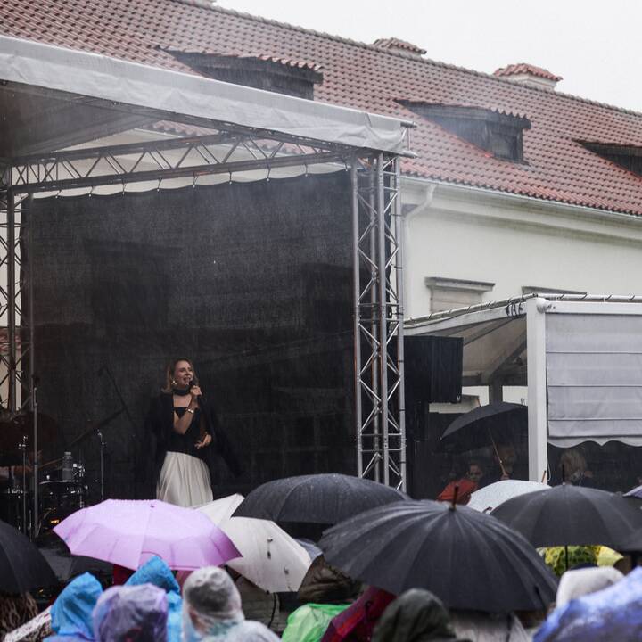 Pažaislio liepų alėjos vakarai: Ieva Narkutė