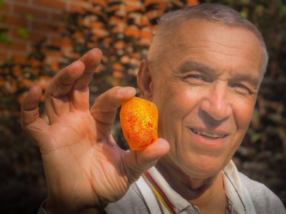 Laimikis: I. Osnač ir vėl džiaugiasi gintaro radiniu.