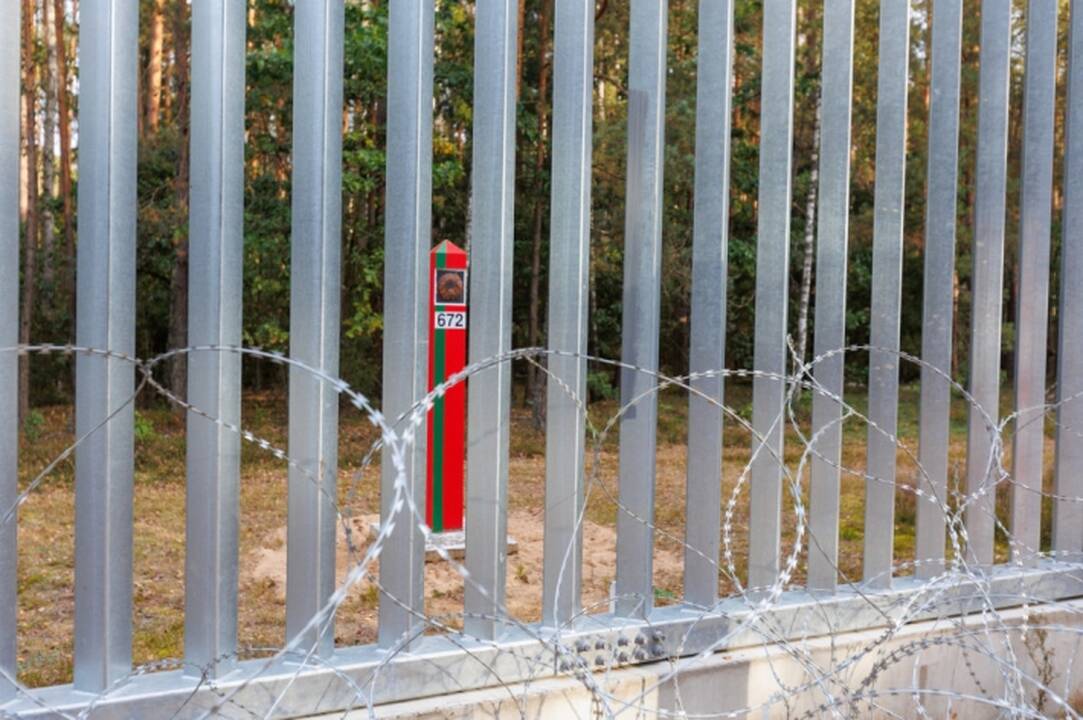 Lietuvos pasienyje su Baltarusija apgręžtas vienas neteisėtas migrantas