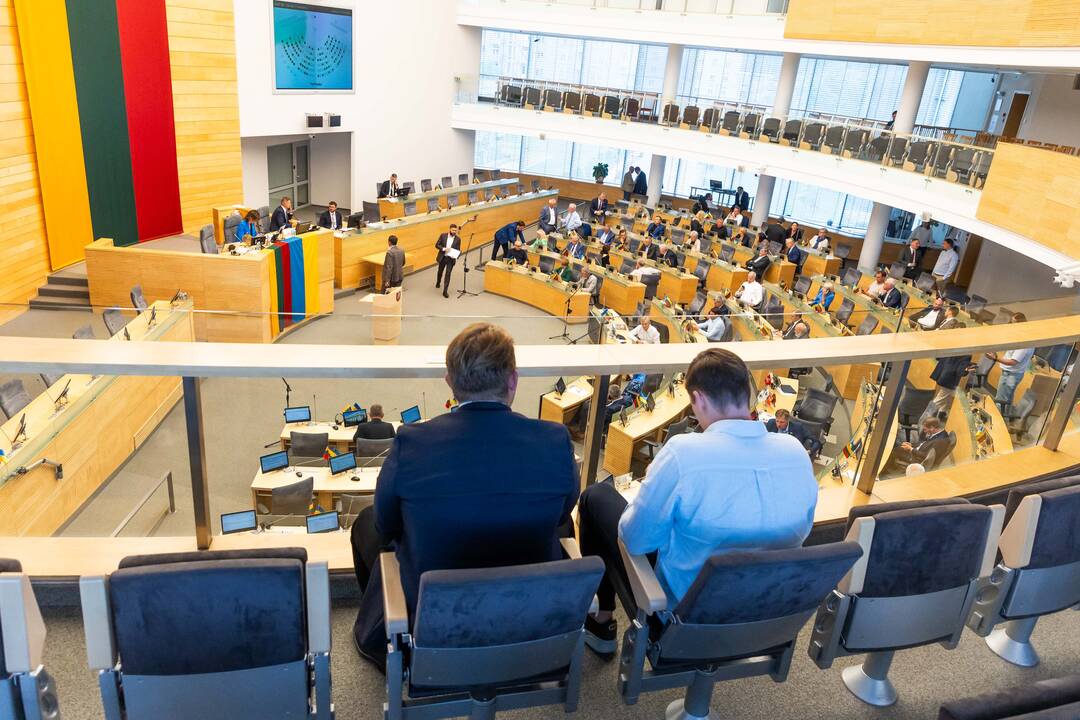 Seimo teisininkai įvertino patobulintą BK pataisų versiją: prieštarauja Konstitucijai