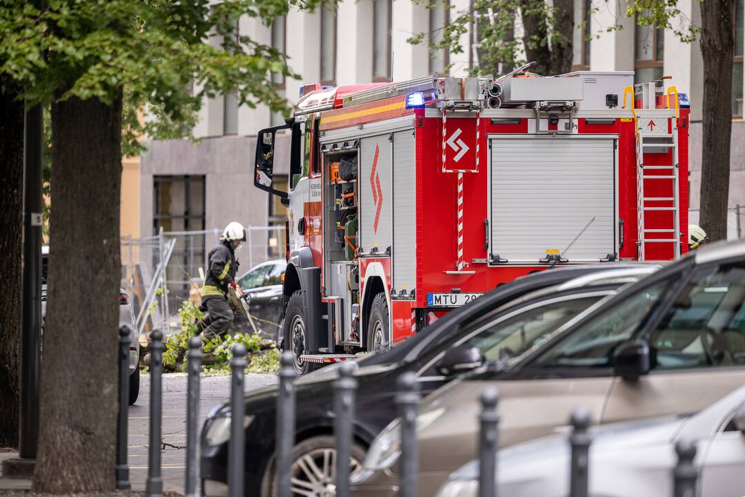 V. Putvinskio gatvėje ant automobilio užvirto medis