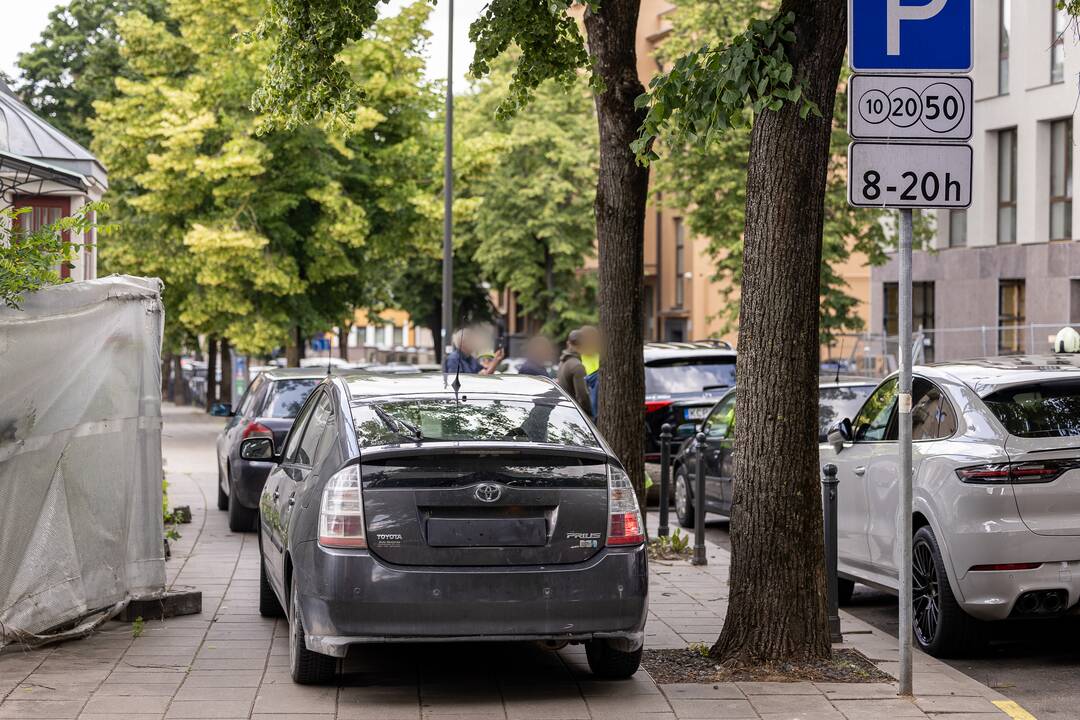 V. Putvinskio gatvėje ant automobilio užvirto medis