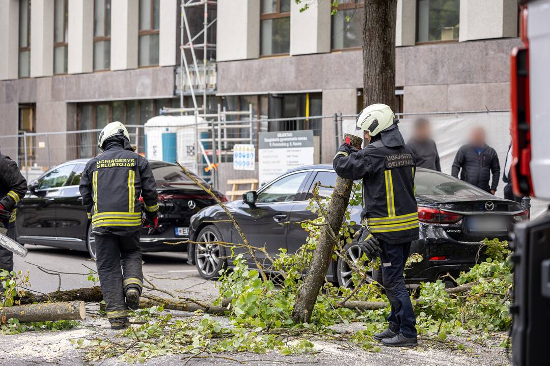 V. Putvinskio gatvėje ant automobilio užvirto medis