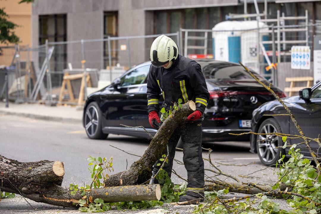 V. Putvinskio gatvėje ant automobilio užvirto medis