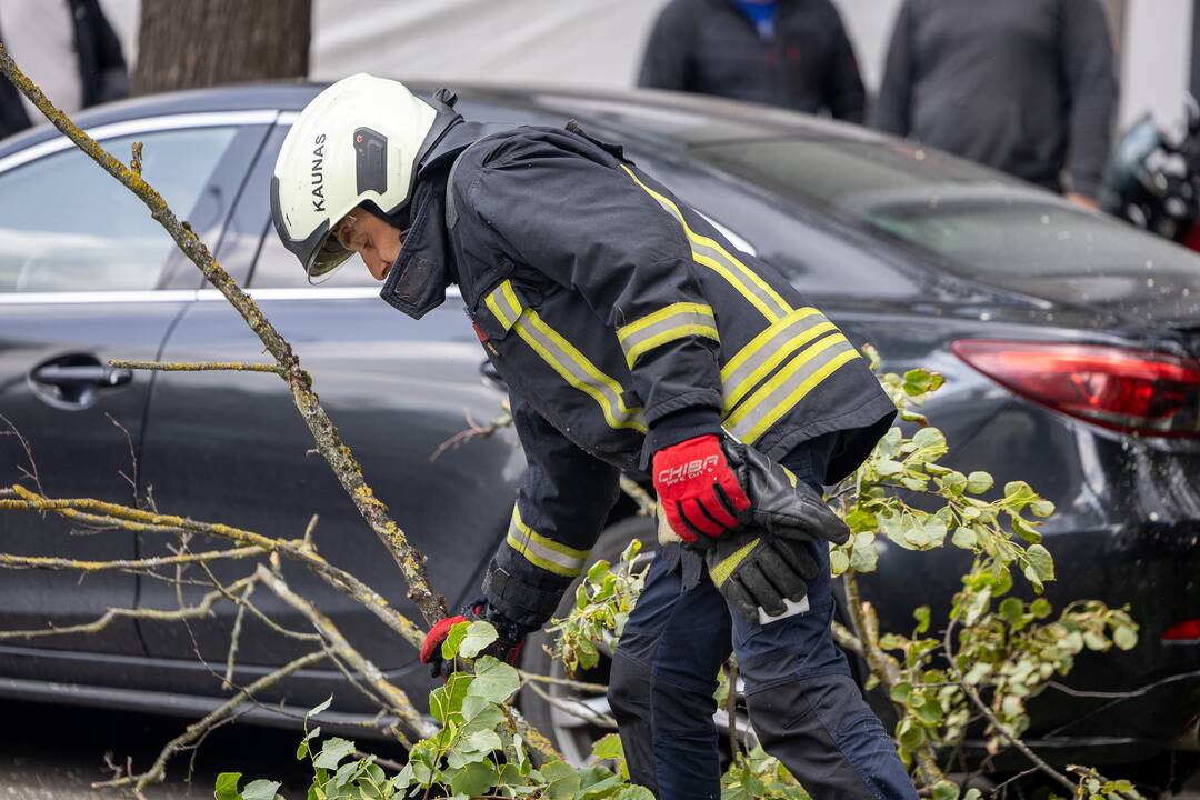 V. Putvinskio gatvėje ant automobilio užvirto medis