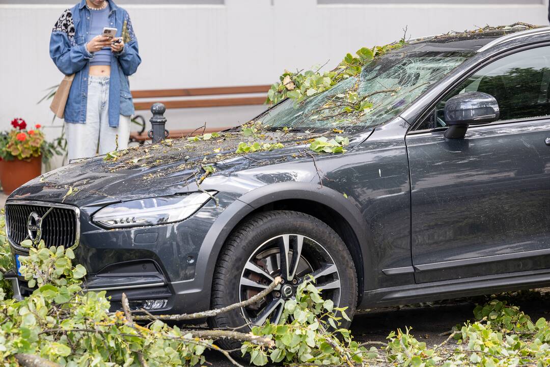 V. Putvinskio gatvėje ant automobilio užvirto medis