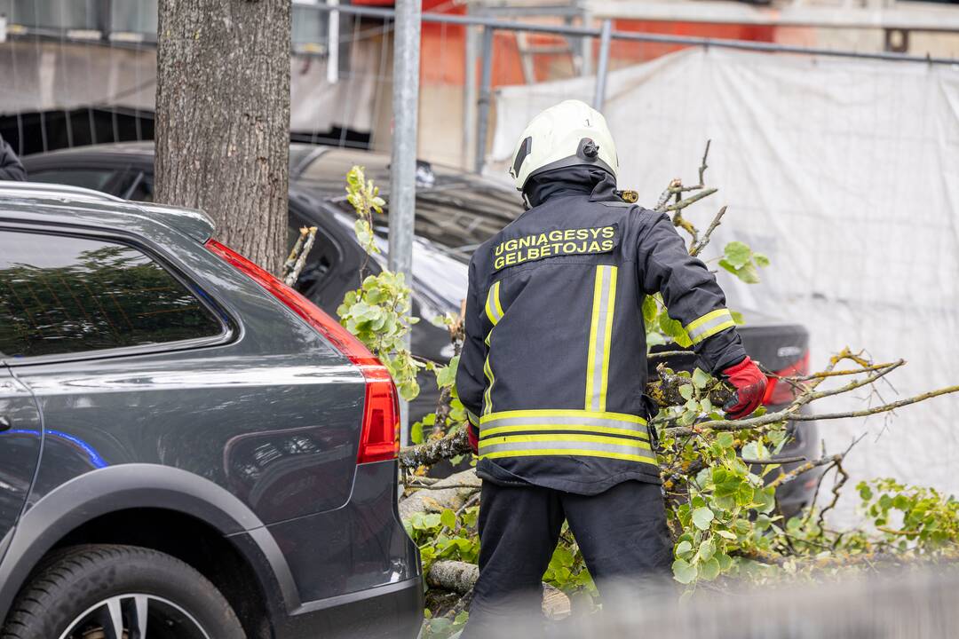 V. Putvinskio gatvėje ant automobilio užvirto medis