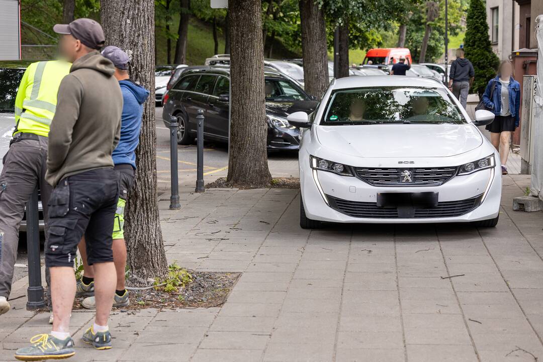 V. Putvinskio gatvėje ant automobilio užvirto medis