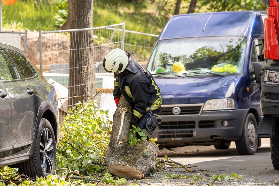 V. Putvinskio gatvėje ant automobilio užvirto medis