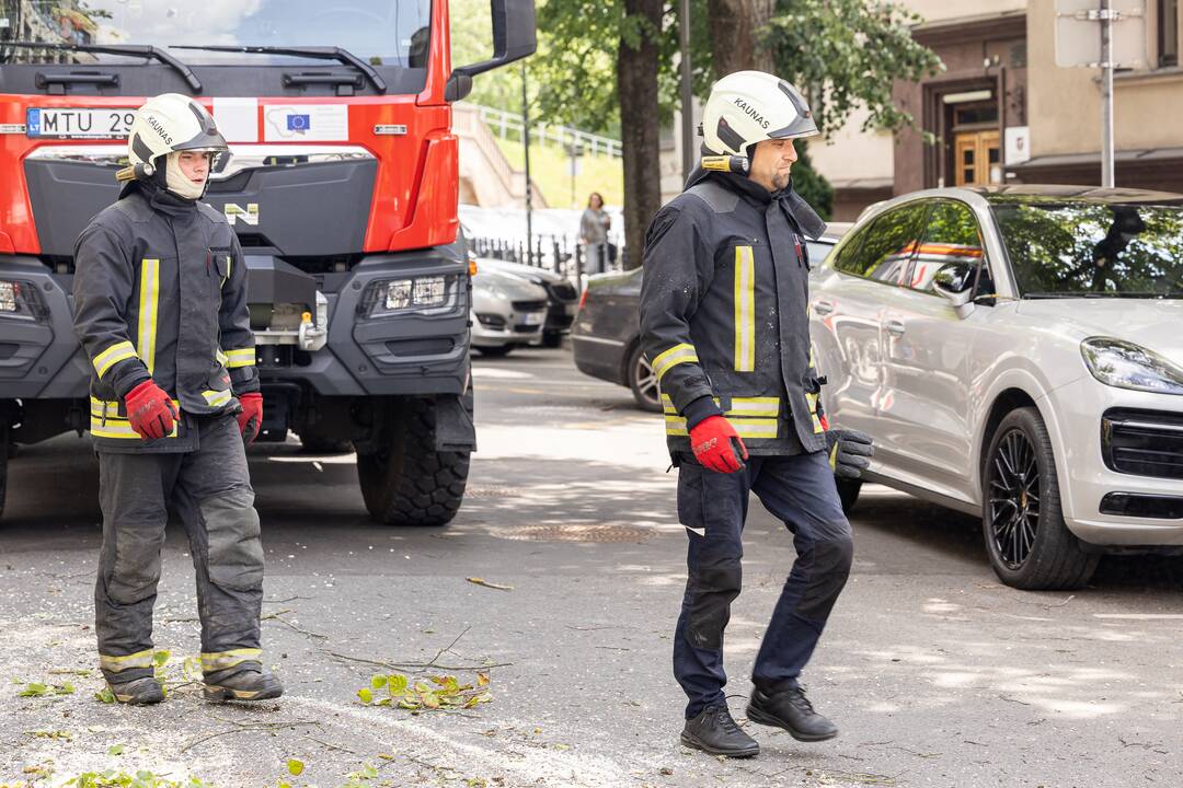 V. Putvinskio gatvėje ant automobilio užvirto medis