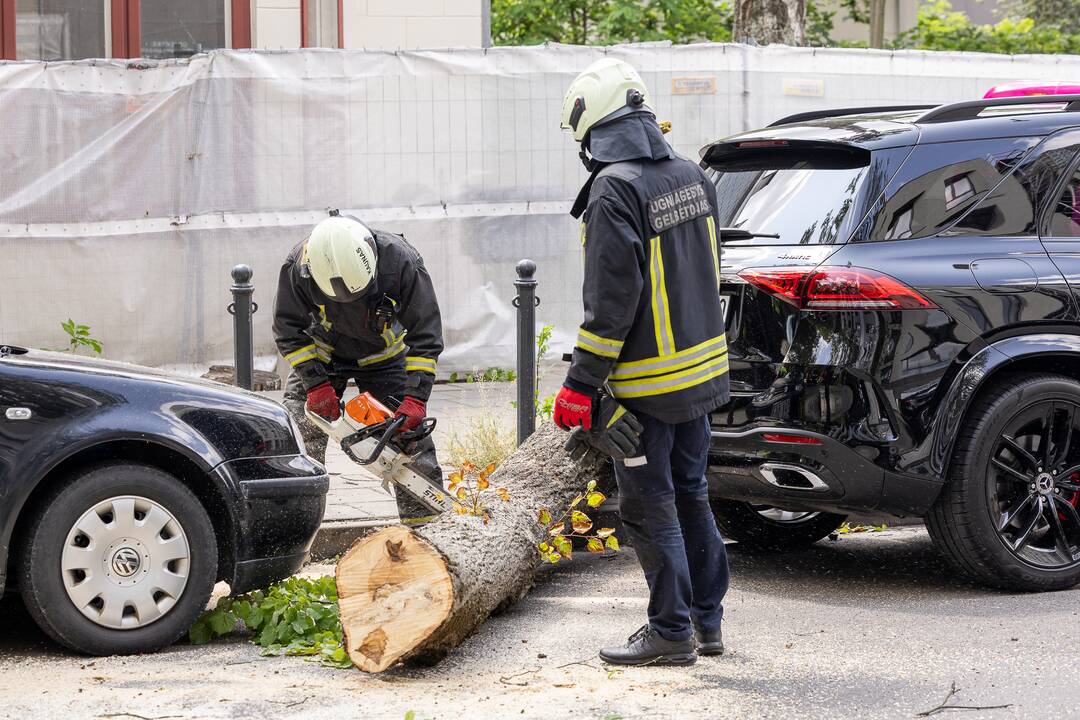 V. Putvinskio gatvėje ant automobilio užvirto medis