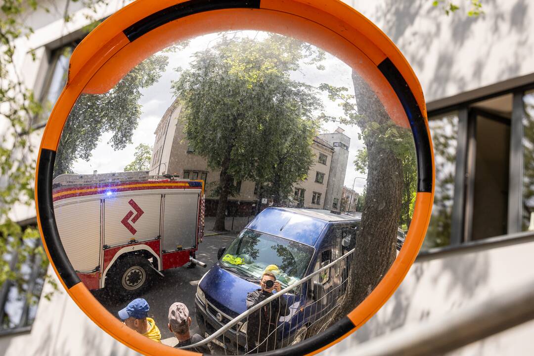 V. Putvinskio gatvėje ant automobilio užvirto medis