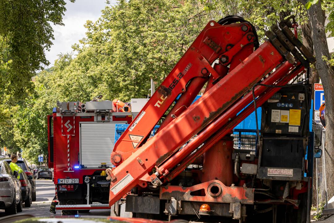 V. Putvinskio gatvėje ant automobilio užvirto medis