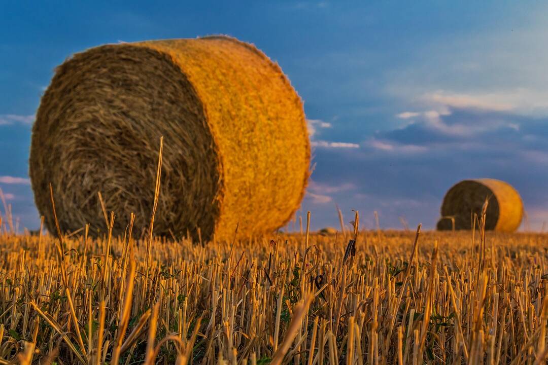 ES sudarė naują prekybos susitarimą su Ukraina dėl žemės ūkio produktų importo
