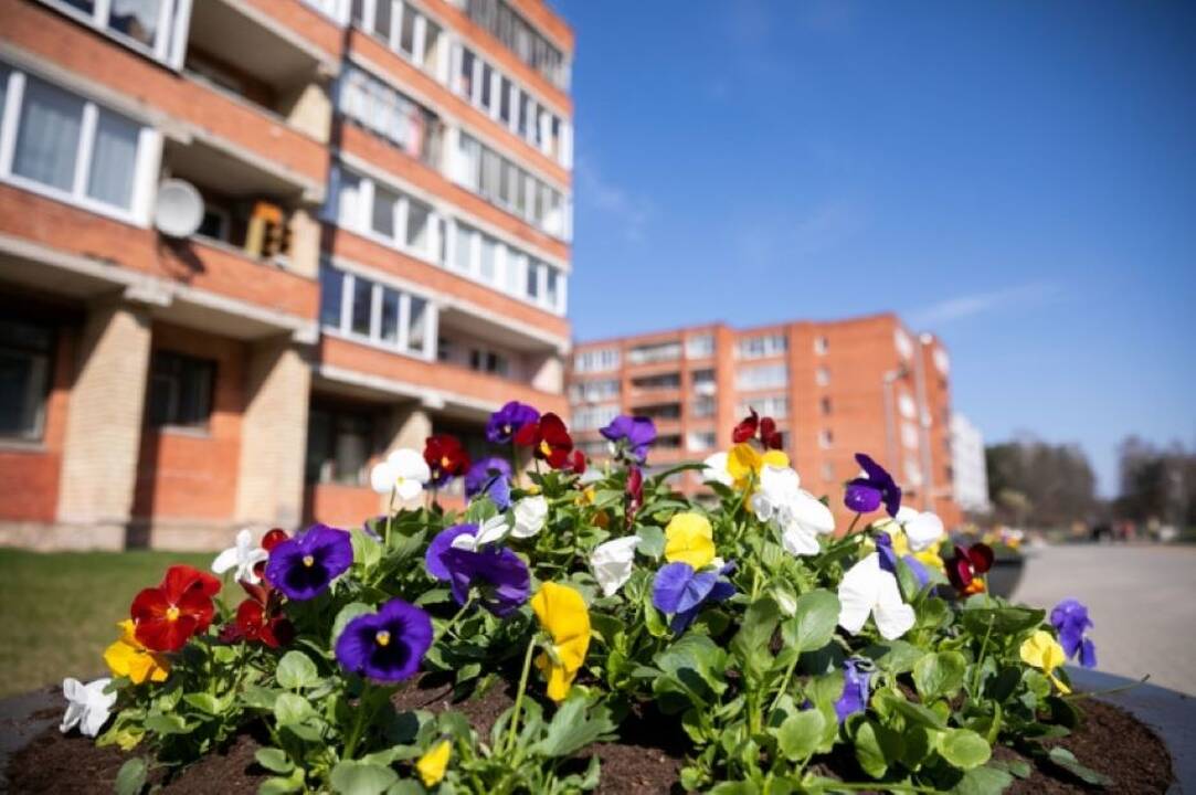 LVAT: Visaginas turės atsisakyti Tarybų gatvės