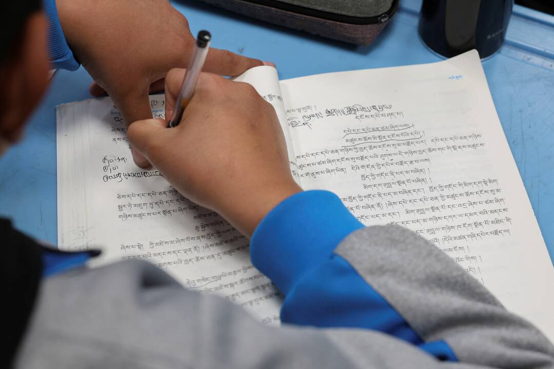 Gauja pasigailėjo protingo studento ir paleido jį iš vergijos