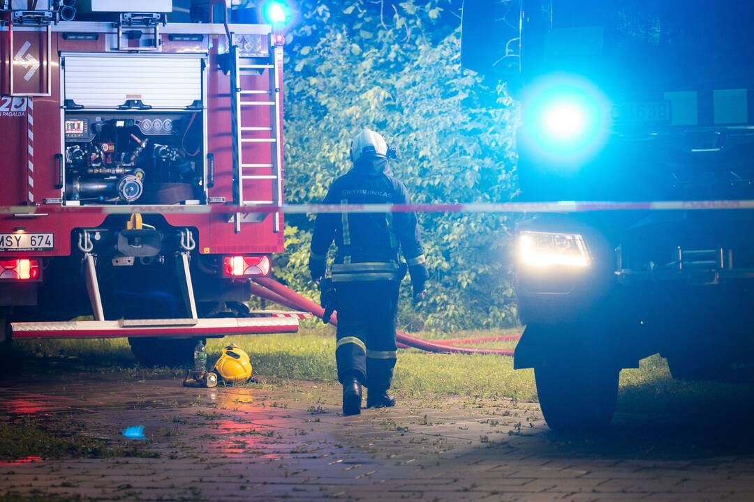 Gaisras Lazdynų pilyje