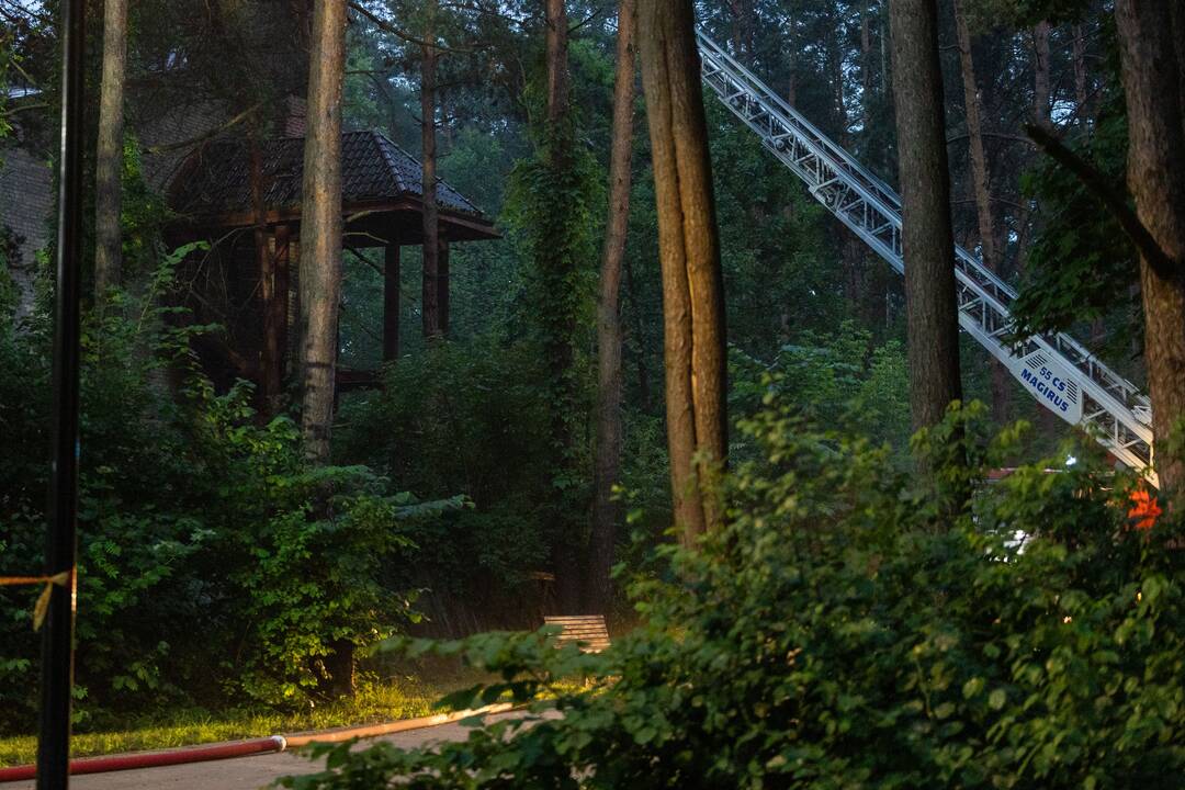 Gaisras Lazdynų pilyje