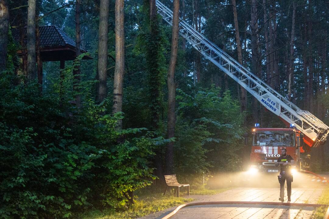 Gaisras Lazdynų pilyje
