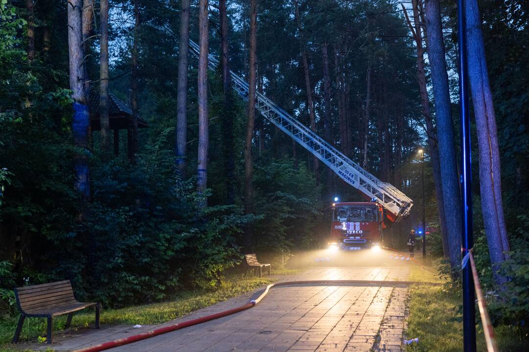 Gaisras Lazdynų pilyje