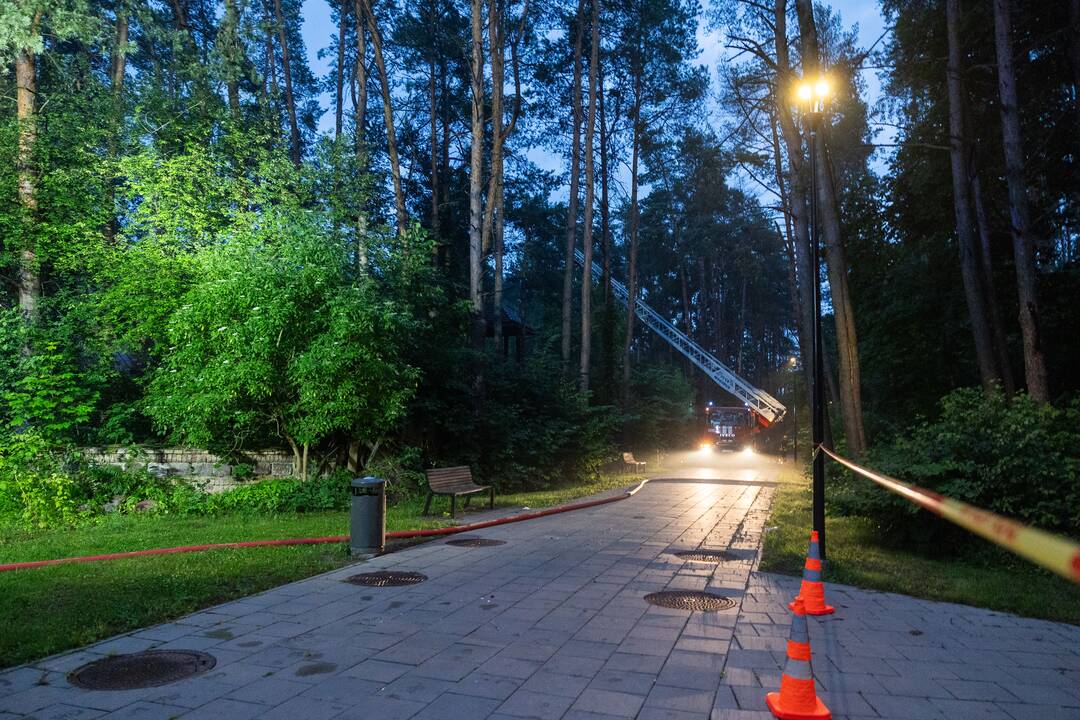 Gaisras Lazdynų pilyje