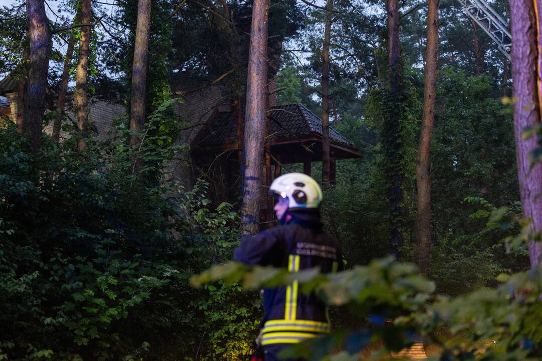 Gaisras Lazdynų pilyje
