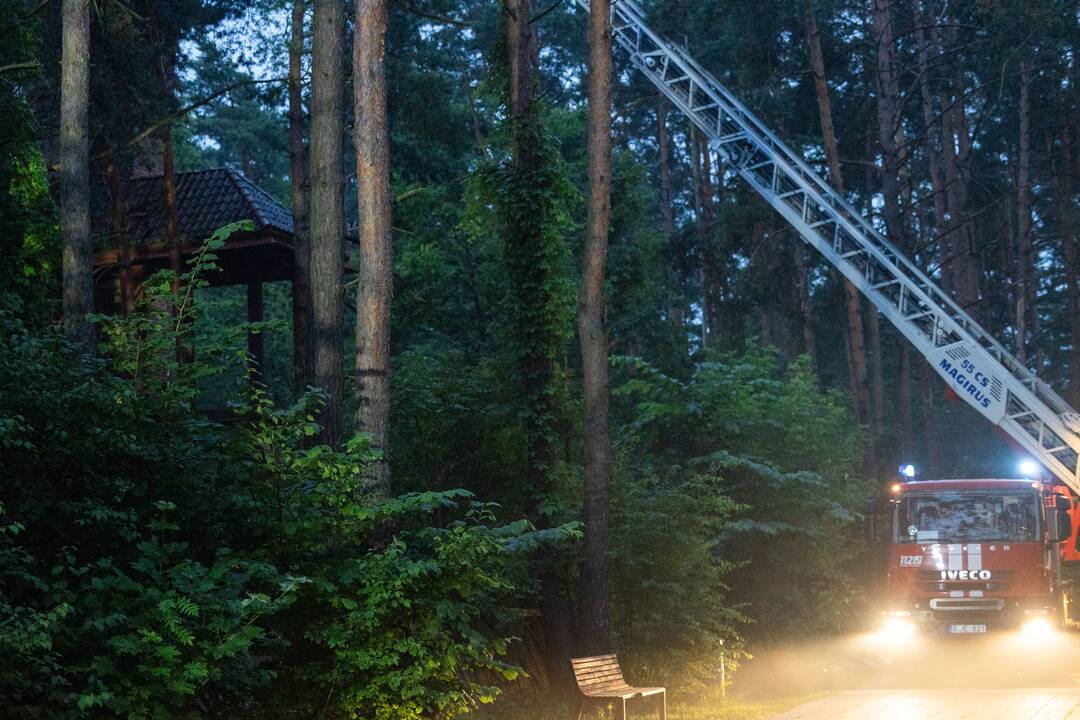 Gaisras Lazdynų pilyje