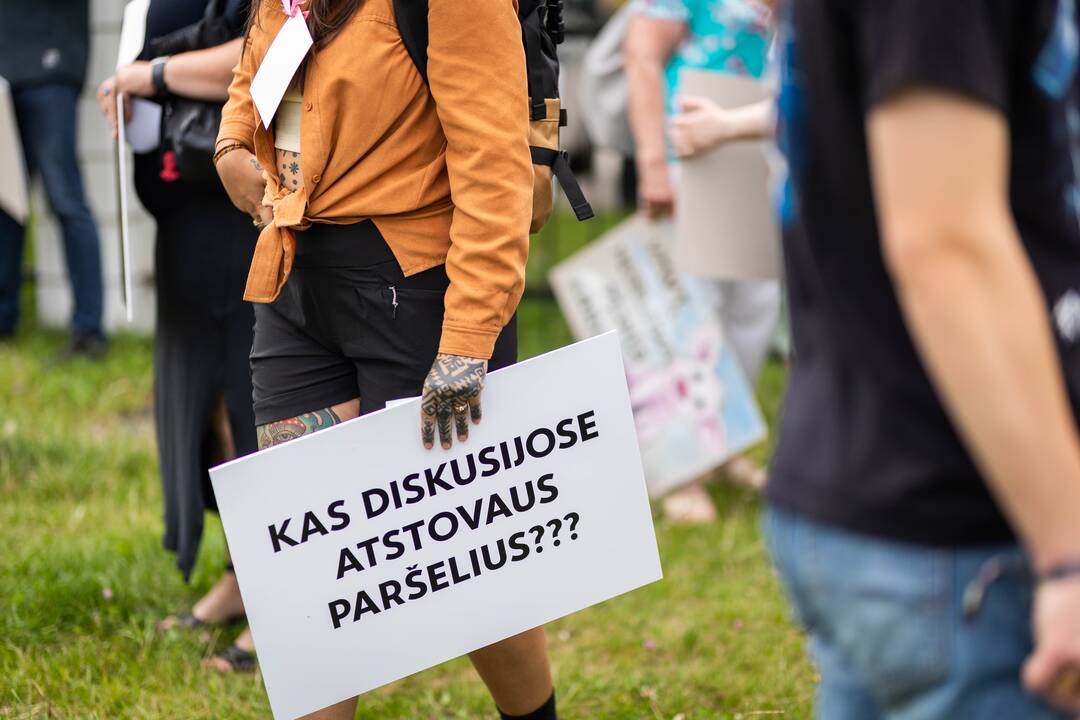 „Tušti narvai“ surengė protestą prieš paršelių kastraciją be nuskausminamųjų