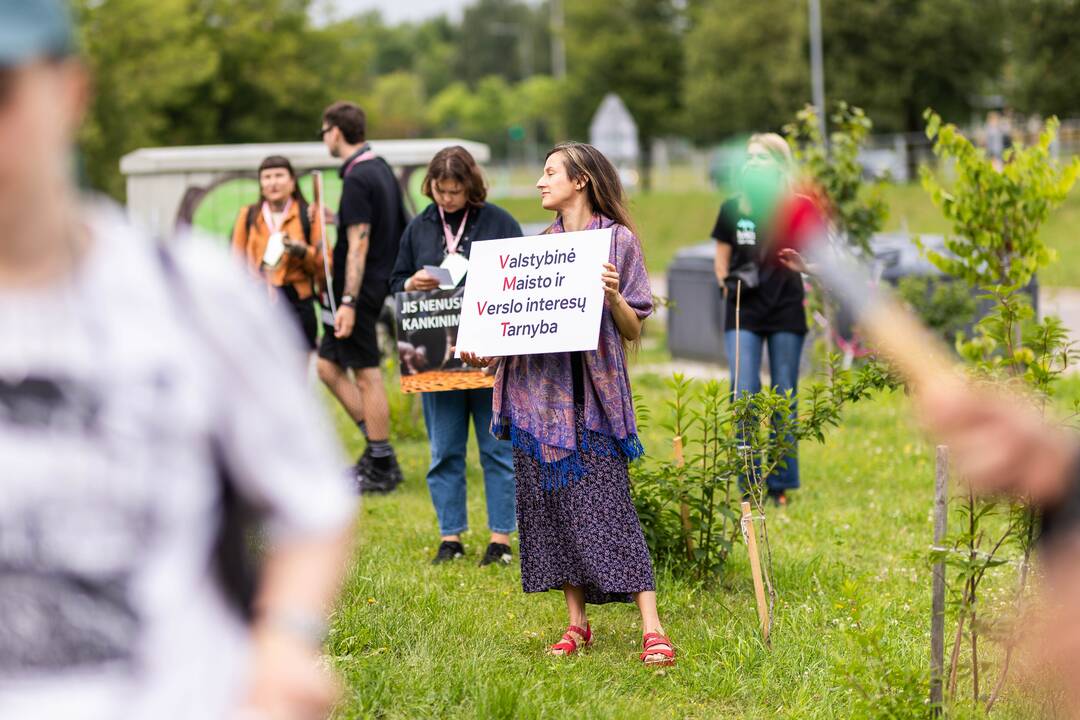 „Tušti narvai“ surengė protestą prieš paršelių kastraciją be nuskausminamųjų