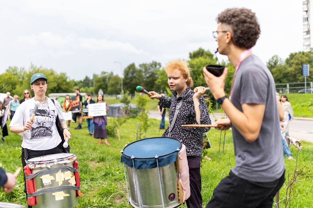 „Tušti narvai“ surengė protestą prieš paršelių kastraciją be nuskausminamųjų