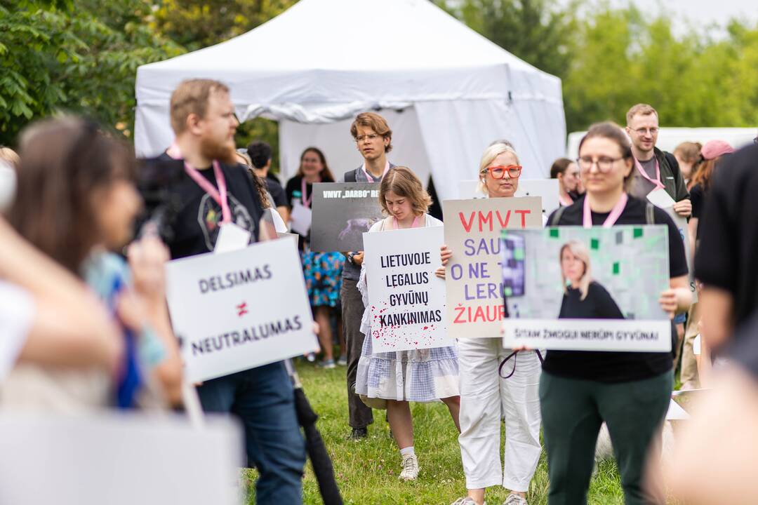 „Tušti narvai“ surengė protestą prieš paršelių kastraciją be nuskausminamųjų
