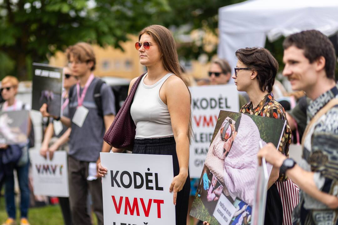 „Tušti narvai“ surengė protestą prieš paršelių kastraciją be nuskausminamųjų